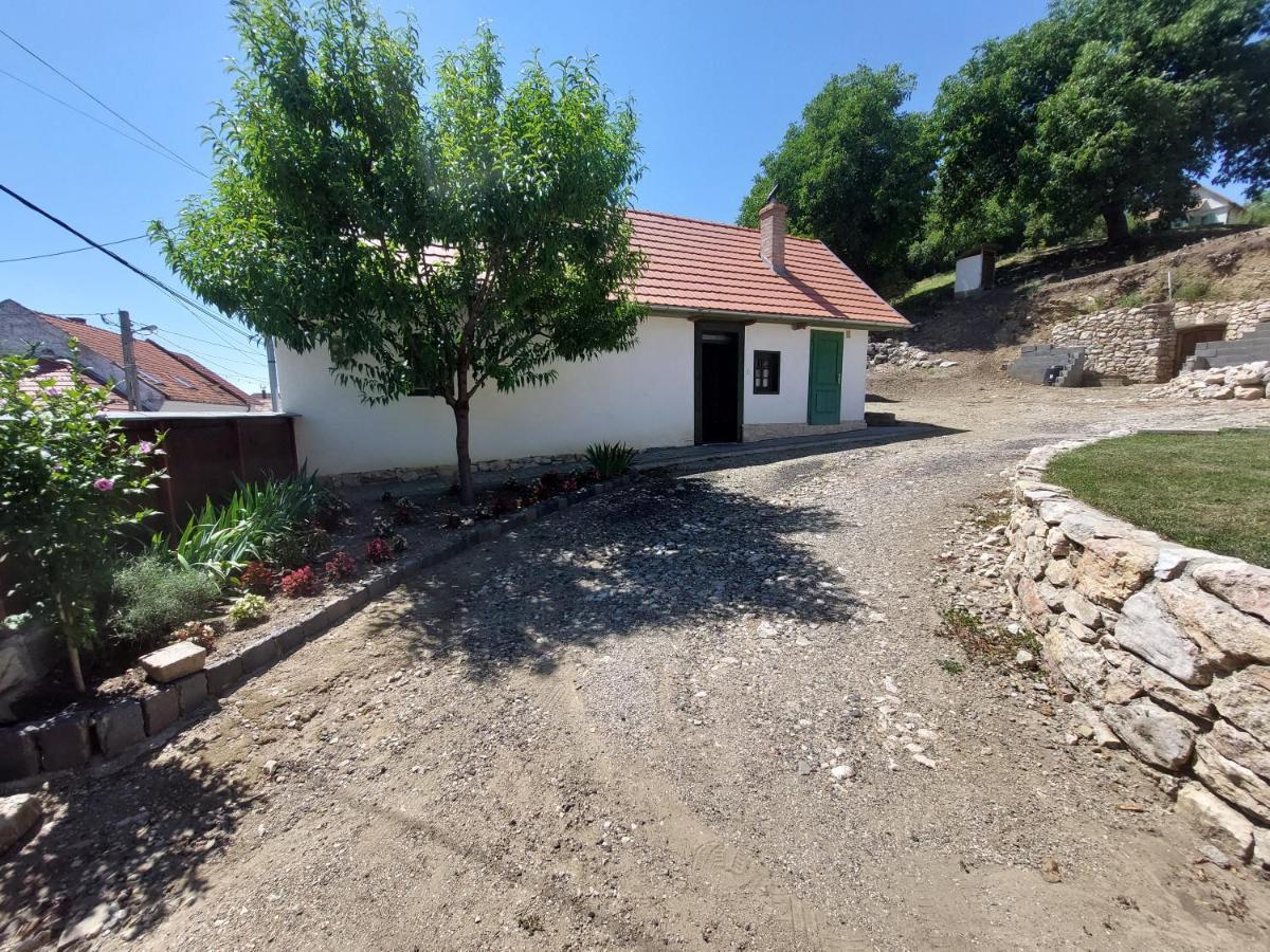 Felix Haz Villa Rimetea Exterior photo