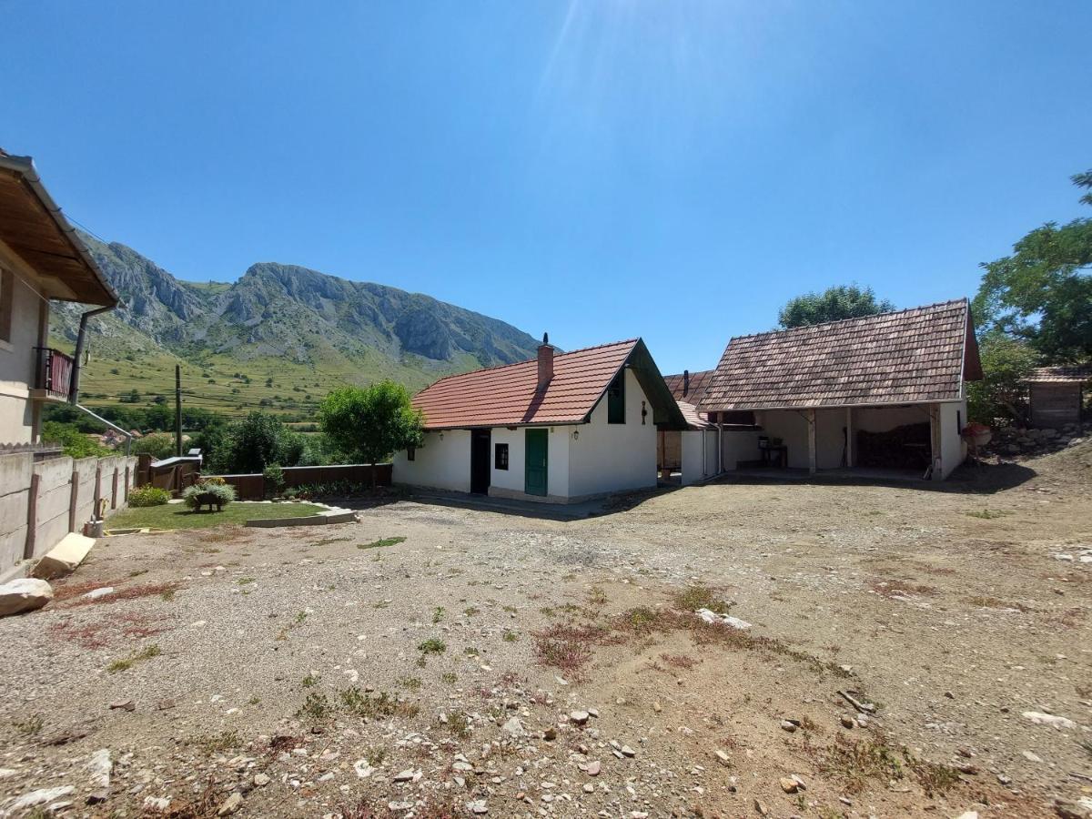 Felix Haz Villa Rimetea Exterior photo
